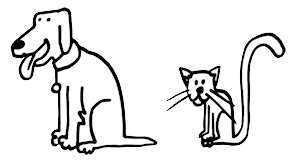 Przeciągnij na odpowiednie pole